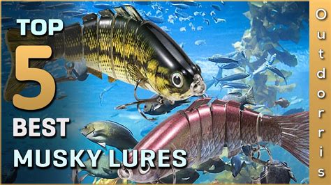 Top 5 Best Musky Lures Review In 2023 Youtube