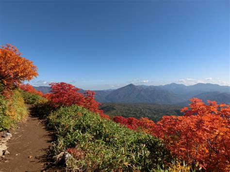 『秋の大雪山・紅葉色比べ（前編）黒岳・赤岳』層雲峡北海道の旅行記・ブログ By Mickさん【フォートラベル】