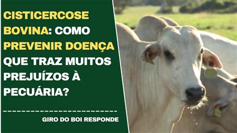 CISTICERCOSE BOVINA COMO PREVENIR DOENÇA QUE TRAZ MUITOS PREJUÍZOS À