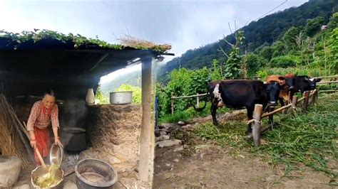 Simple Nepali Mountain Village Lifestyle Daily Life In Rural Nepal