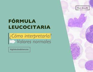 Qué significan los LEUCOCITOS ALTOS causas PELIGROS y cuando