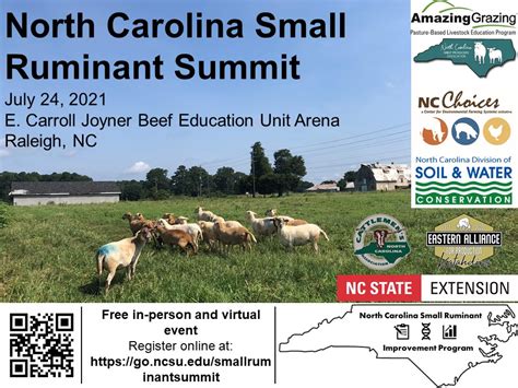 Nc Small Ruminant Improvement Program Nc State Extension