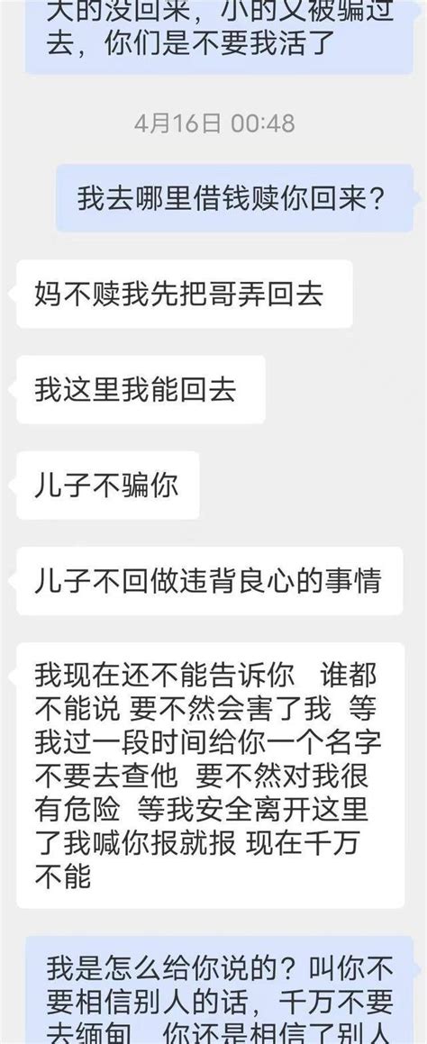 贵州一男子被骗至缅北诈骗园区后，其弟弟为救人也被困缅北 缅北 贵州省 被骗 新浪新闻