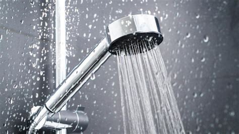 Walk In Showers For Seniors A Guide Forbes Health