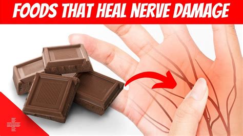 Foods That Heal Nerve Damage Discover Nutrient Rich Options Youtube