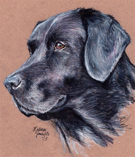 Lab Dog Drawing At Getdrawings Free Download