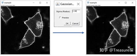 Imagej实用教程——细胞膜荧光强度检测定量分析篇 知乎