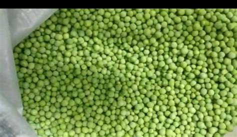 Frozen Green Peas At Rs 53 Kilogram Kalyanpur East Lucknow ID