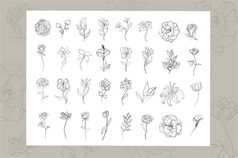 Set of 32 Flowers One line Art | Decorative Illustrations ~ Creative Market