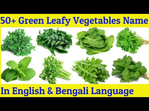 Leafy Vegetables List