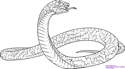 Free Snake Drawing, Download Free Snake Drawing png images, Free ...