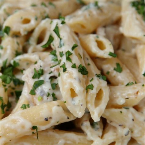 Penne Alfredo Pasta Recipe