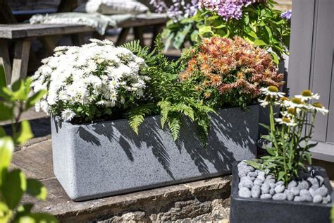 Granito Trough Pots Planters Apta