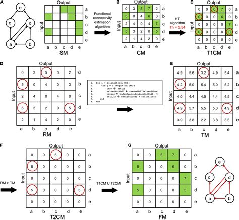 Frontiers Thresholding Functional Connectivity Matrices To Recover The Topological Properties