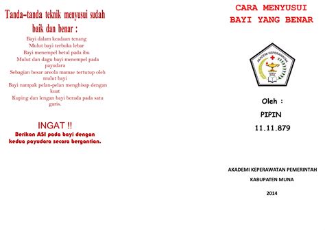 Leaflet Cara Menyusui Bayi Yang Benar PPT