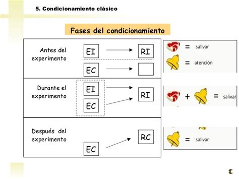 Aplica La Psicología A Tu Vida Bases Conceptuales Del Condicionamiento