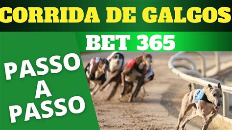 Como apostar em corrida de GALGOS na BET365 pelo celular 2022 Conheça