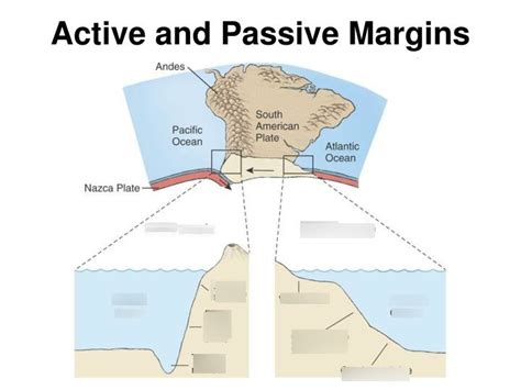 Active vs Passive Continental Margins Diagram | Quizlet