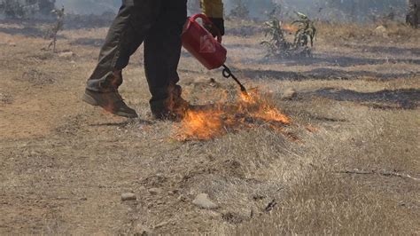 Cal Fire Plans 200 Acre Controlled Burn In Shasta County