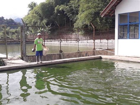 Pemkab Diskanak Bakal Sebar Ribu Benih Ikan