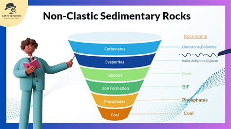 Non Clastic Sedimentary Rocks Limestone Siliceous Chert Coal Evaporite Gypsum Iron In