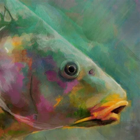 Carp Modern Art Print Freshwater Carp Fishing Wall Art Print - Etsy