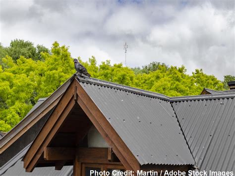 Call a Metal Roofer Before You Try New DIY Metal Roof Systems