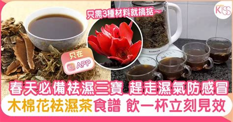 木棉花袪濕茶食譜 春天必備袪濕三寶 飲一杯立刻見效