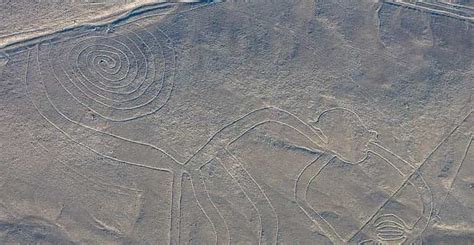 Desde Nazca Excursi N En Vuelo De Las L Neas De Nazca Getyourguide