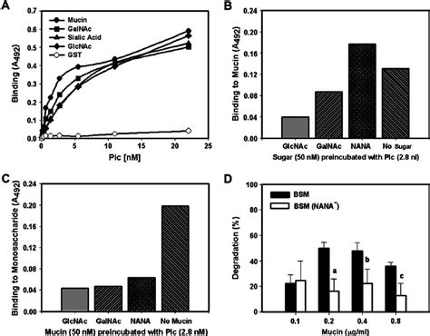 Interaction Of Pic With Mucin A Binding Of Pic To Mucin And