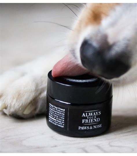 Paws And Nose Balm