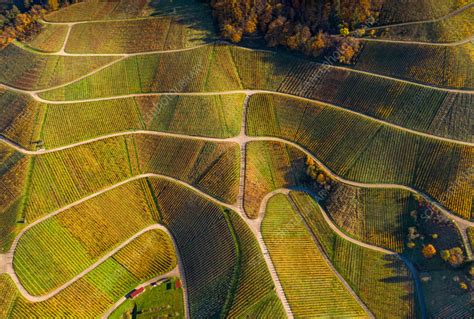 Aerial View Of Vineyards In Varnhalt Black Forest Germany Stock