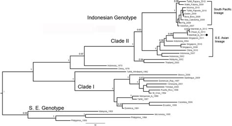 Bayesian Maximum Clade Credibility Phylogenetic Tree Of Denv Detected