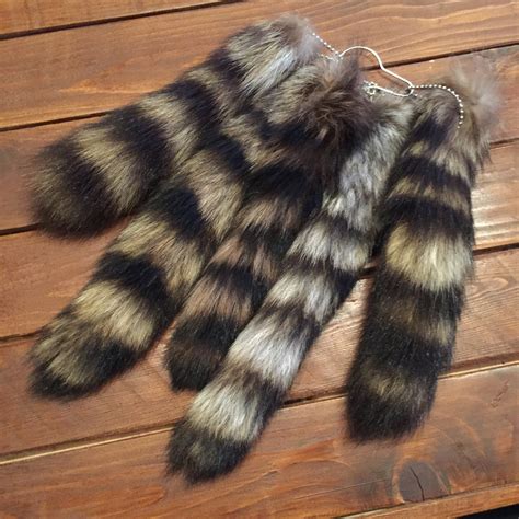 Raccoon Tail | Curious Nature