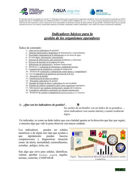 Pdf Indicadores B Sicos Para La Gesti N De Los Organismos Pdf