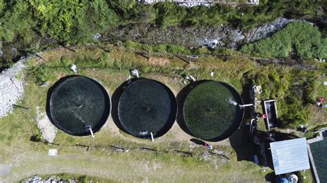 Día Mundial de la Acuicultura Produce cofinanció proyectos innovadores