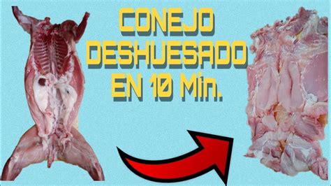 C Mo Deshuesar Un Conejo Paso A Paso Conejos Deshuesado