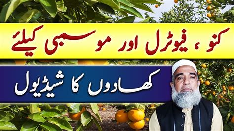 Fertilizer Plan For Citrus Fruit Orange Kinnow Crop Reformer