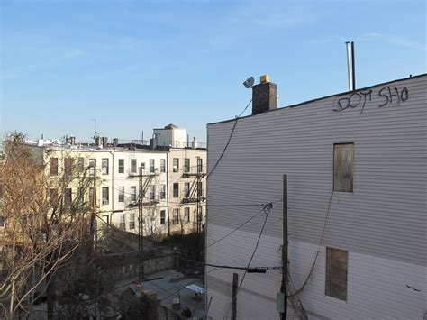 Bushwick Brooklyn Concepción 41