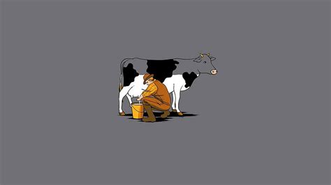 Free Download Hd Wallpaper Running Out Of Milk Milking A Cow