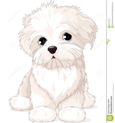 Fluffity Clipart 20 Free Cliparts Download Images On Clipground 2024