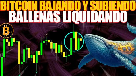 Bitcoin Bajando Y Subiendo Ballenas Liquidando Pronostico Bitcoin