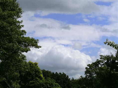 Sky Pictures: Cumulus Mediocris