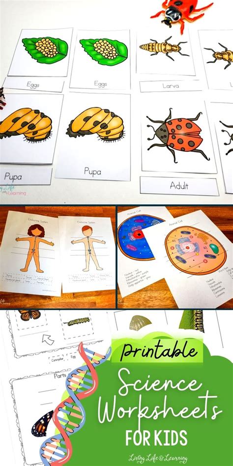 Printable Science Worksheets For Kids