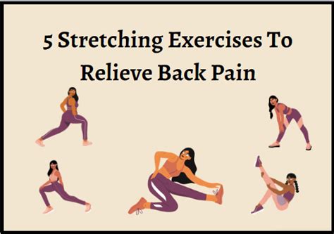 5 Stretching Exercises To Relieve Back Pain - IGyani