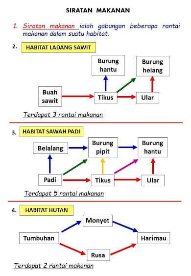 Saana Bukit Sains Tahun 5 Siratan Makanan