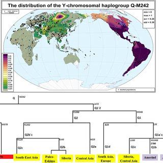 Frequency distribution map of haplogroup Q3-L275. a Data from... | Download Scientific Diagram