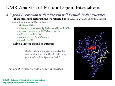 Nmr Analysis Of Proteinligand Interactions A Ligand Interaction