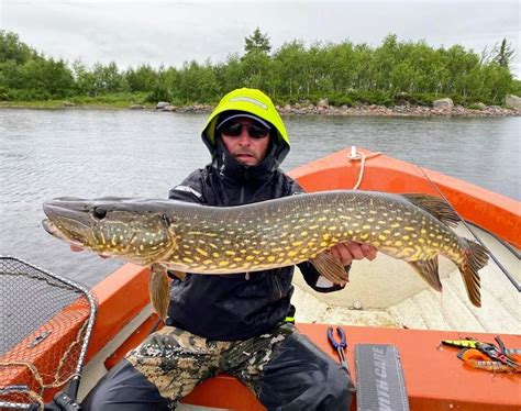 P Che Du Brochet En Laponie Su Doise Comment P Cher Efficacement Les