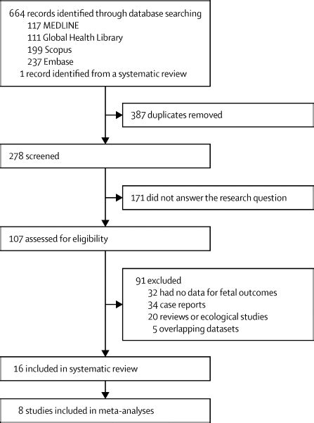 Dengue During Pregnancy And Adverse Fetal Outcomes A Systematic Review And Meta Analysis The